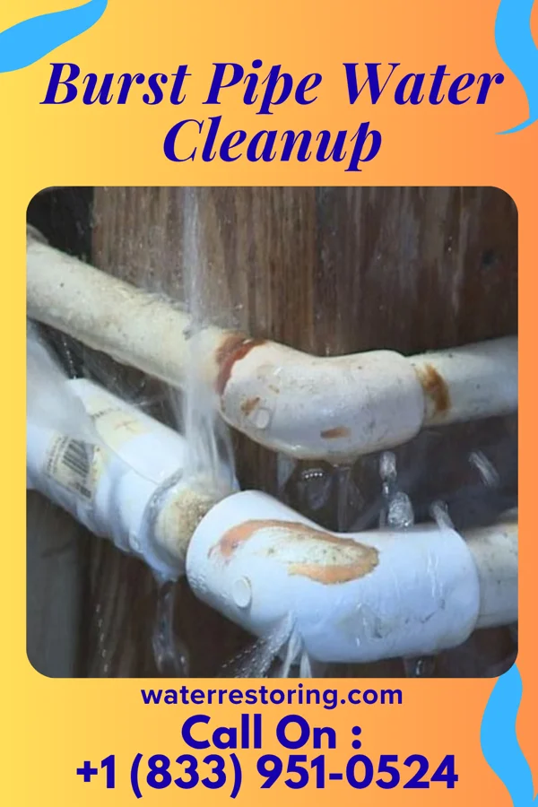 Burst Pipe Water Cleanup in Mountainair, NM