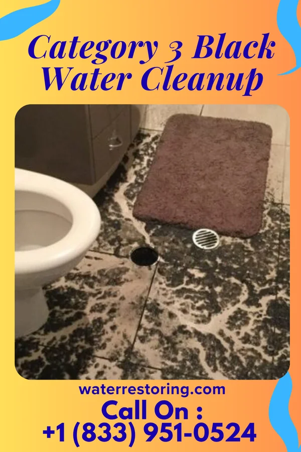 Category 3 Black Water Cleanup in Mountainair, NM