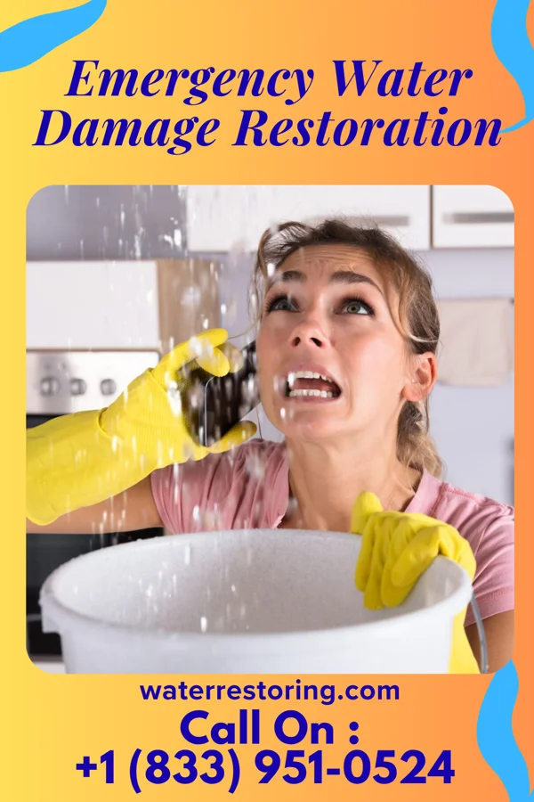 Emergency Water Damage Restoration in Mountainair, NM