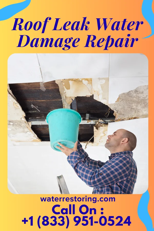 Roof Leak Water Damage Repair in Mountainair, NM