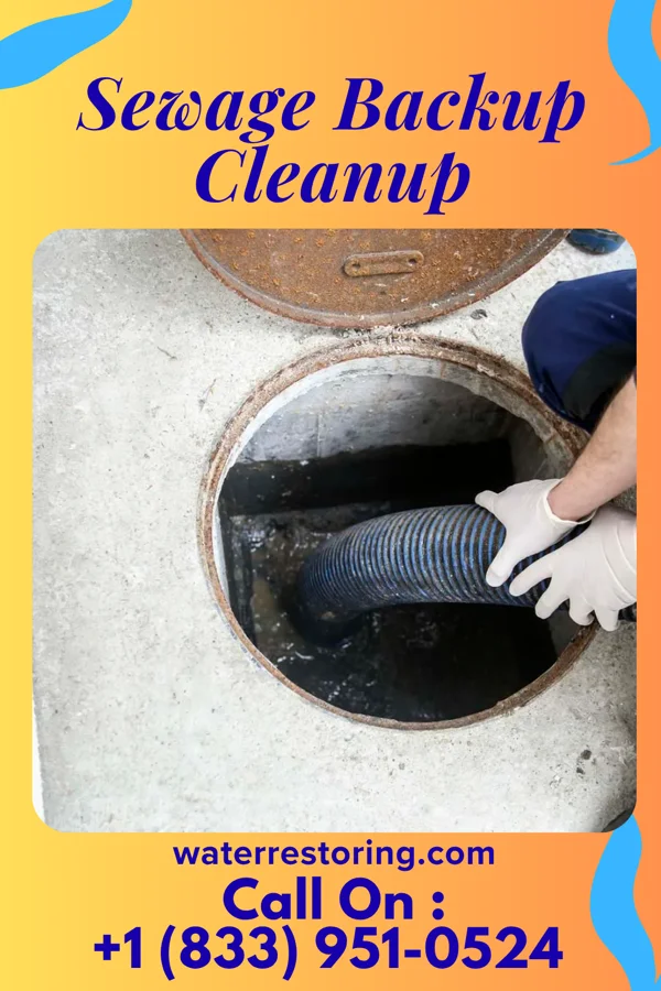 Sewage Backup Cleanup in Mountainair, NM